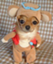 id:zeeep01