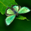 id:zephyrus_no_kisetsu