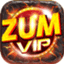 zumvipnet